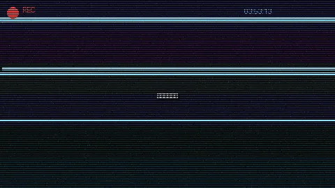 周末随拍记录 - 黑帮大佬和我的第365在线观看 原创视频